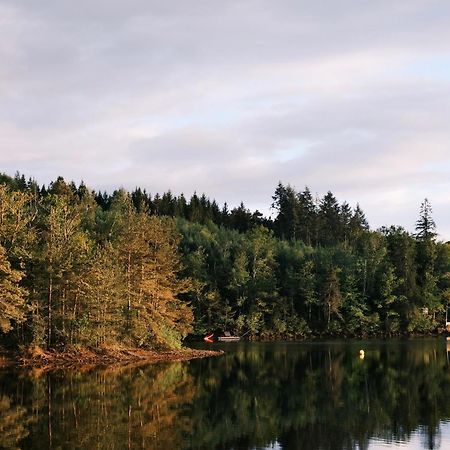 Lodge Avec Spa Privatif - Foret Et Lac Liginiac 外观 照片