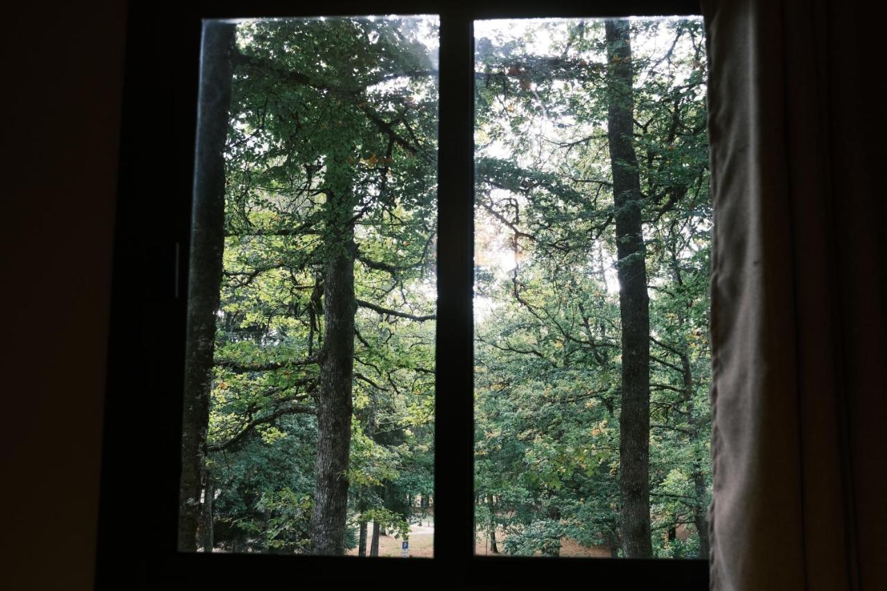 Lodge Avec Spa Privatif - Foret Et Lac Liginiac 外观 照片