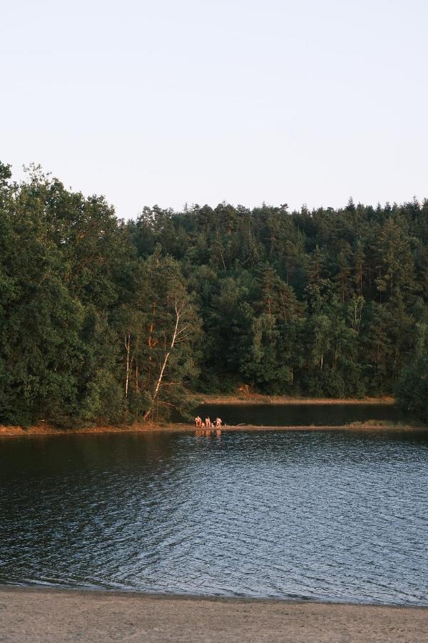 Lodge Avec Spa Privatif - Foret Et Lac Liginiac 外观 照片