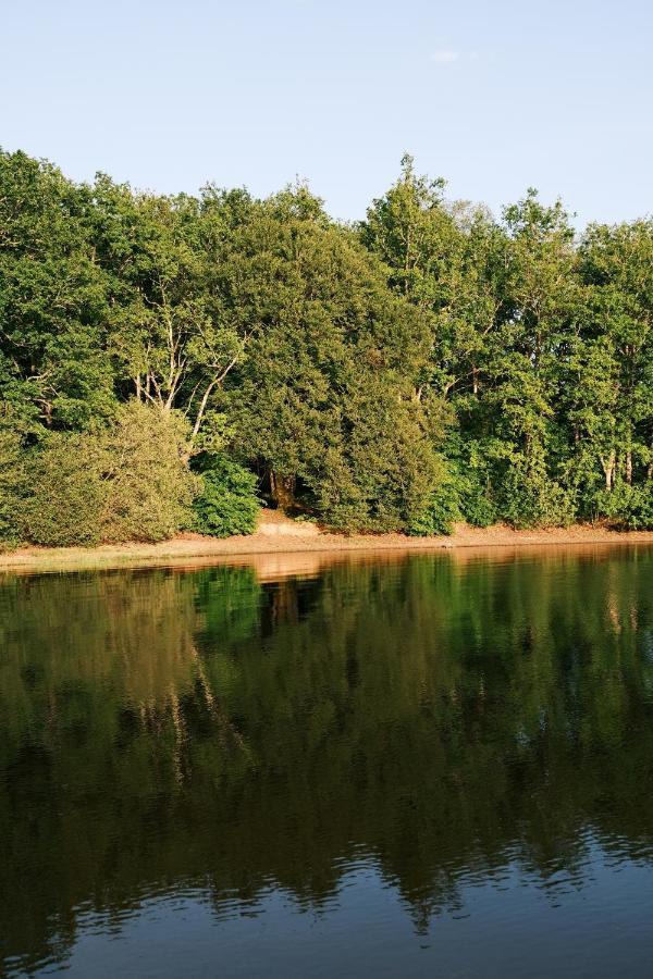 Lodge Avec Spa Privatif - Foret Et Lac Liginiac 外观 照片