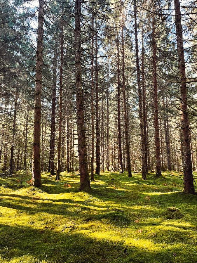 Lodge Avec Spa Privatif - Foret Et Lac Liginiac 外观 照片