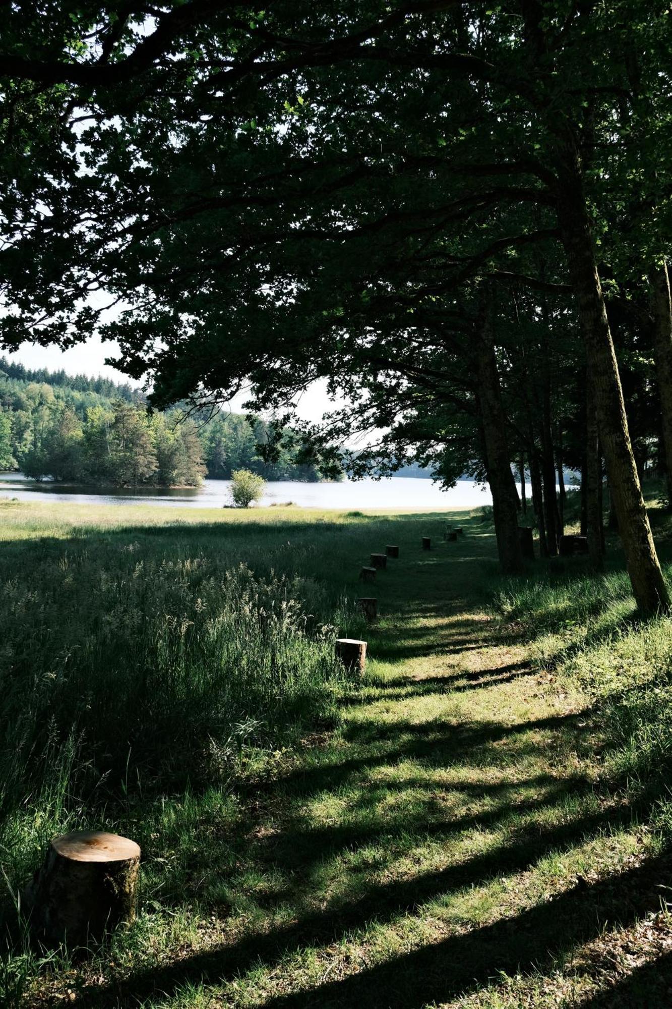 Lodge Avec Spa Privatif - Foret Et Lac Liginiac 外观 照片