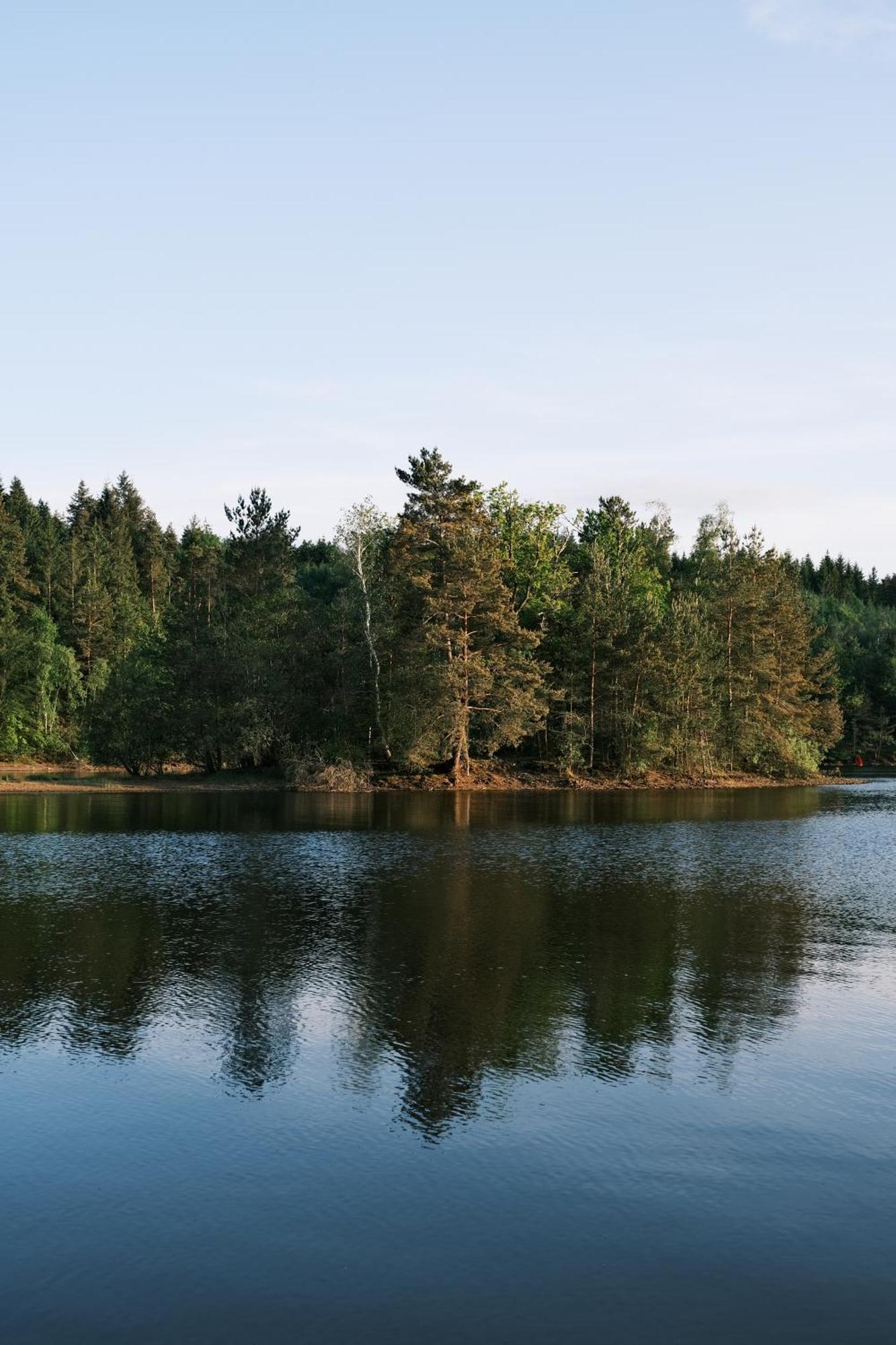 Lodge Avec Spa Privatif - Foret Et Lac Liginiac 外观 照片