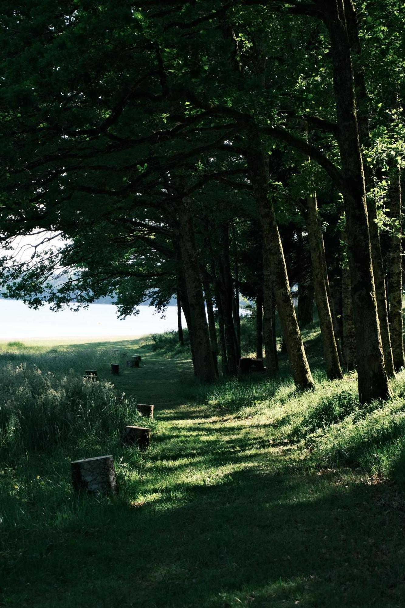 Lodge Avec Spa Privatif - Foret Et Lac Liginiac 外观 照片