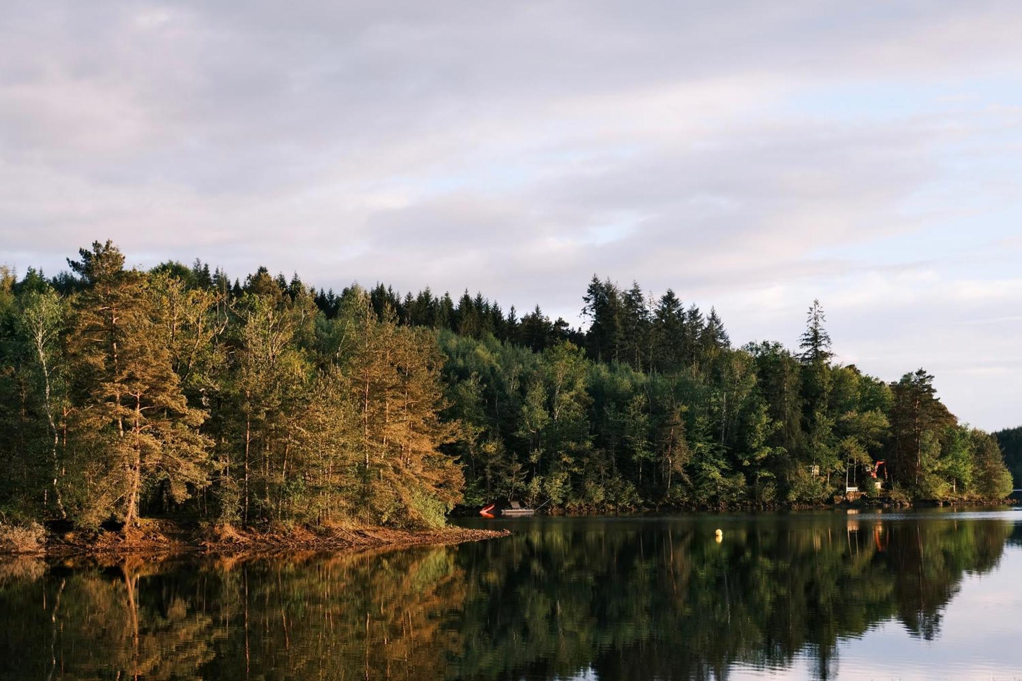 Lodge Avec Spa Privatif - Foret Et Lac Liginiac 外观 照片